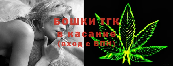 крисы Верхний Тагил