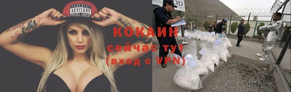 крисы Верхний Тагил