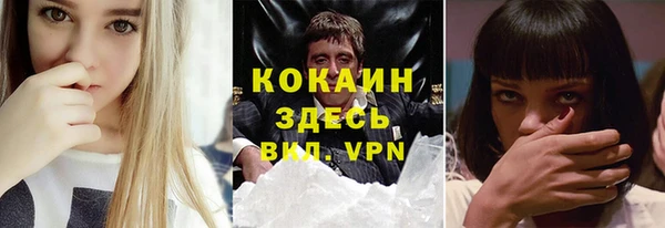 крисы Верхний Тагил