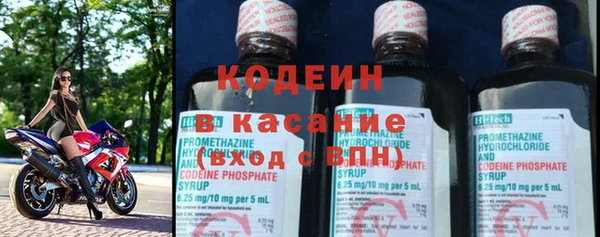 крисы Верхний Тагил