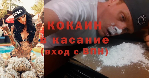 крисы Верхний Тагил