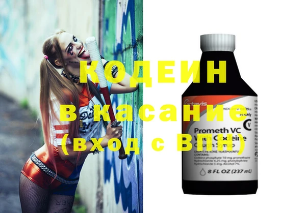 крисы Верхний Тагил